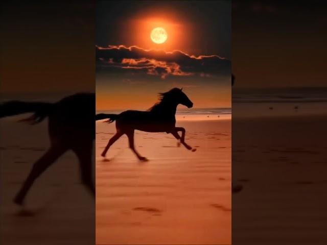 a horse with no name #vintagemusicfm #music #train #retroradio