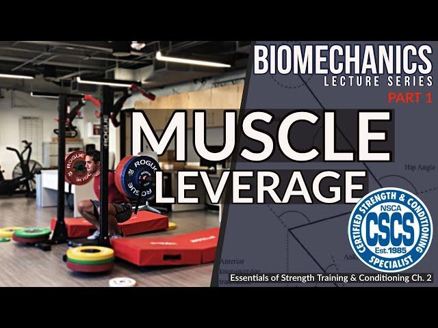 Biomechanics and Muscle Leverage | CSCS Chapter 2