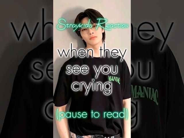 [Straykids Reaction] when they see you crying  [REQUESTED]