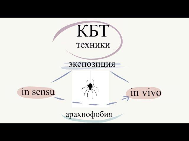 Лечение фобий. Методы КБТ при лечении фобий