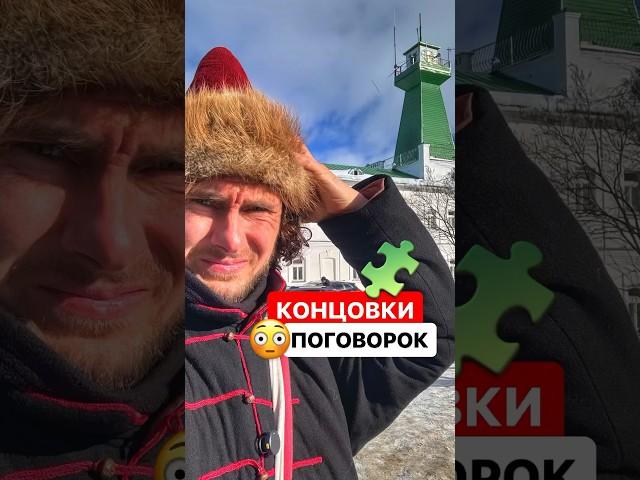 Как звучат продолжения пословиц и поговорок? #поговорки #пословицы