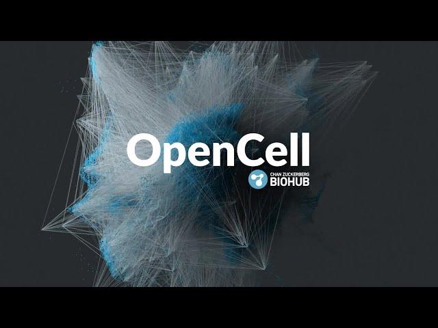OpenCell