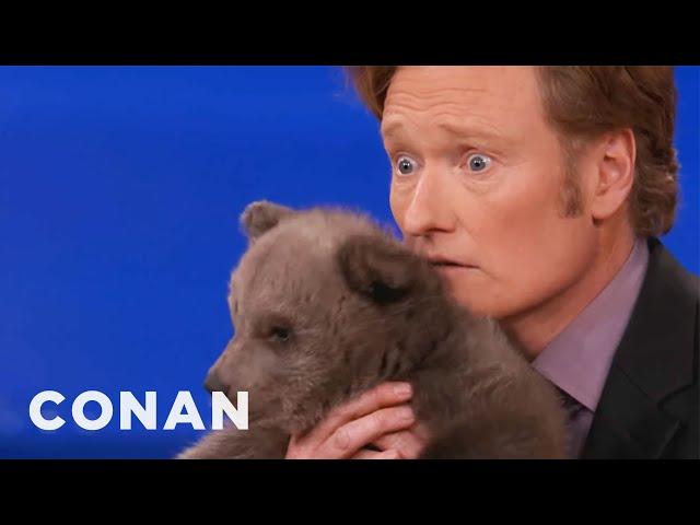 Animal Expert David Mizejewski: Brown Bear Cub & Baby Alligator | CONAN on TBS