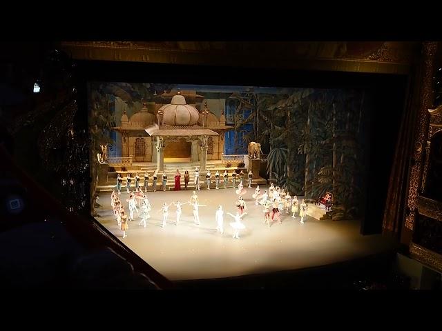 Баядерка. La Bayadère. Большой. Поклоны. 23.07.2022