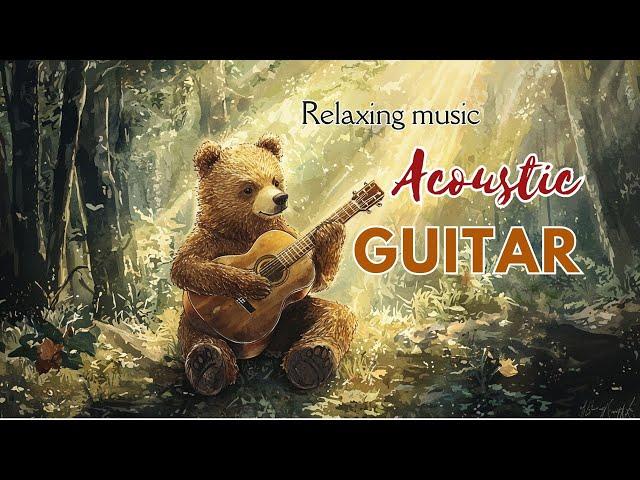 Relaxing music - Acoustic Guitar for Relaxation | Nature & Animal #relaxingmusic  #acousticguitar