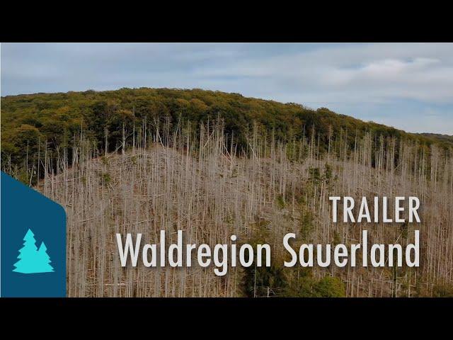 Waldregion Sauerland - Trailer zum Dokumentarfilm