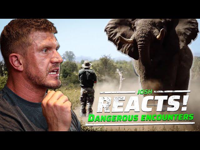 INSANE DANGEROUS ANIMAL ENCOUNTERS! | Josh Reacts Ep. 3 |