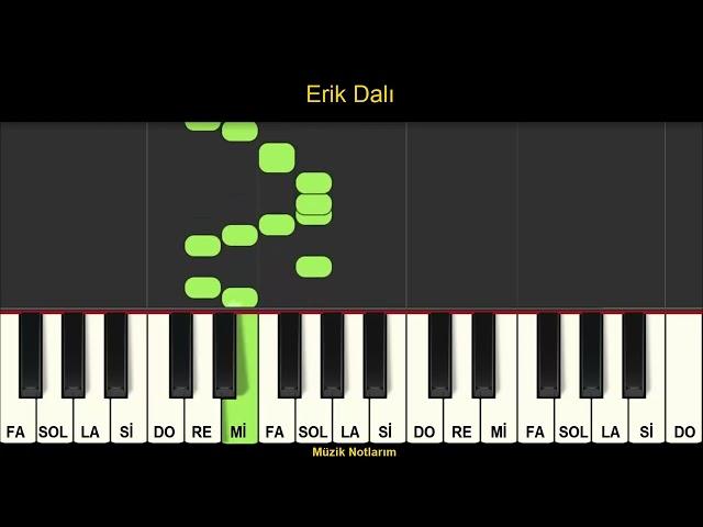 Erik Dalı Melodika Org Notaları