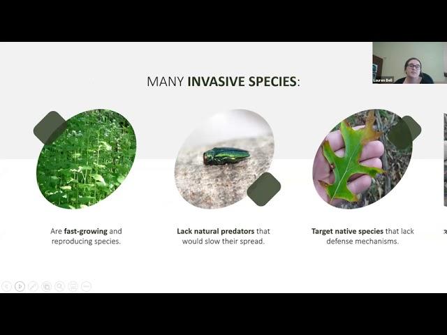 Garden for Wildlife: Invasive Species in Ontario Gardens