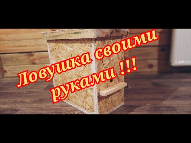 ЛОВУШКА ДЛЯ ПЧЁЛ!!!ЛОВУШКА ДЛЯ ПЧЁЛ СВОИМИ РУКАМИ!