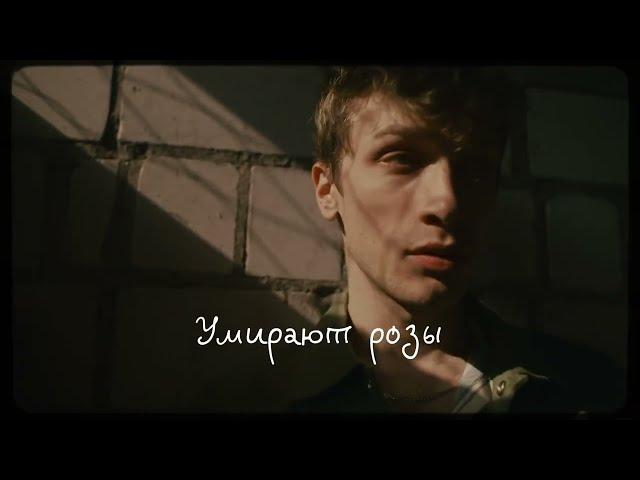 ГУДЗОН - Умирают розы (Lyric video)