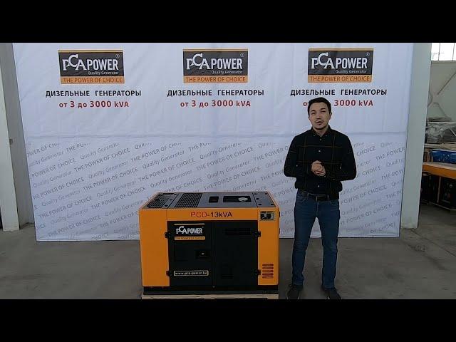 Дизельный генератор PCA-POWER, PCD-13kVA