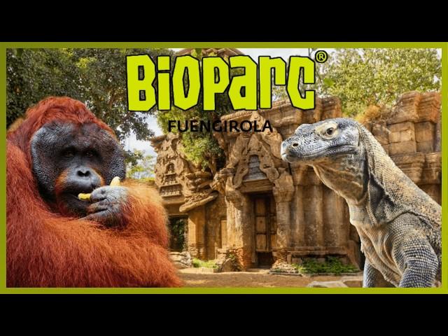 BIOPARC FUENGIROLA | Zoo-inmersión + NUEVA ZONA | De los mejores zoos de Europa 2024