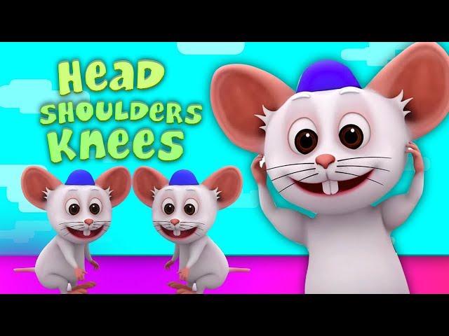 ไหล่หัวหัวเข่าและเท้า | เพลงเด็กอนุบาล | Head Shoulder Knees And Toes | Little Treehouse Thailand