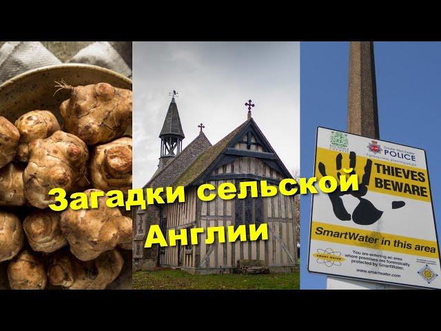 Загадки старинной церкви, воры домушники и Иерусалимские артишоки.