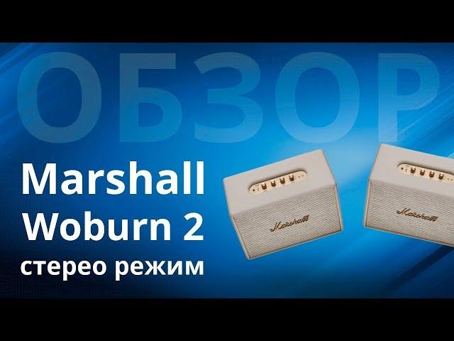 Обзор Marshall Woburn 2 и, как подключить их в стерео режим