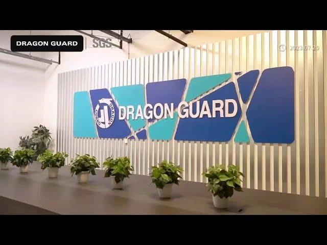 Discover DRAGON GUARD: The Leading Security Solutions Powerhouse