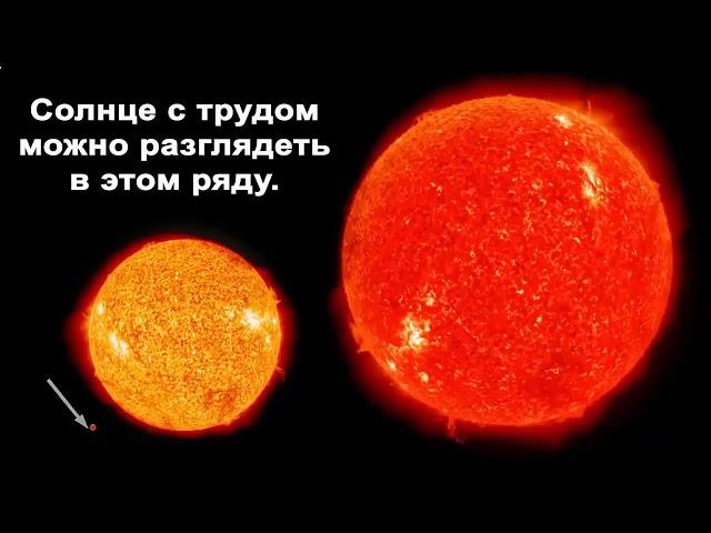 Сногсшибательные факты. Интересные видео. Интересные факты.