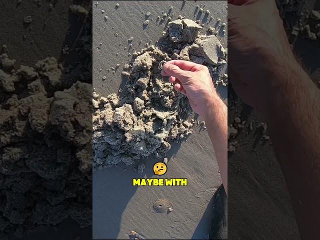 Beach Treasure Hunt: Discovering Hidden Rings #shorts #TreasureHunt #BeachLife #shortvideo