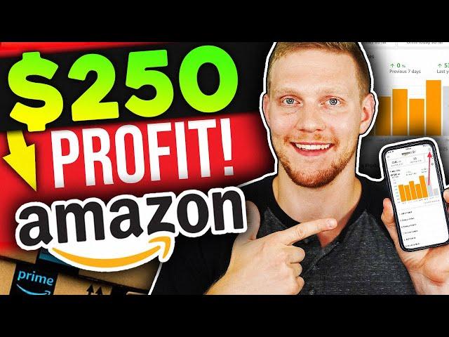 How I Made $250 Profit In One Day Amazon Dropshipping In 2020