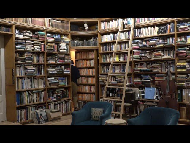 Library making: domed ceiling, shelves, secret door, rolling ladder