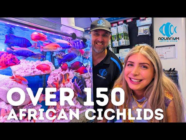 The LARGEST African Cichlid Supplier! (Aquarium Central Tour)