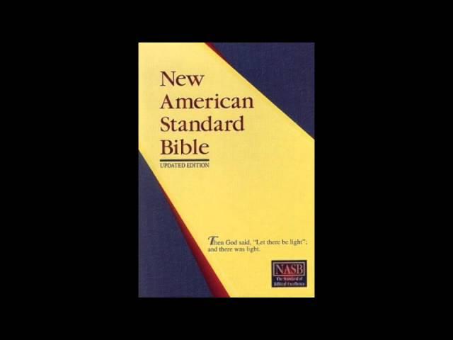 First Book of Samuel (NASB Audio Bible Non Dramatized)