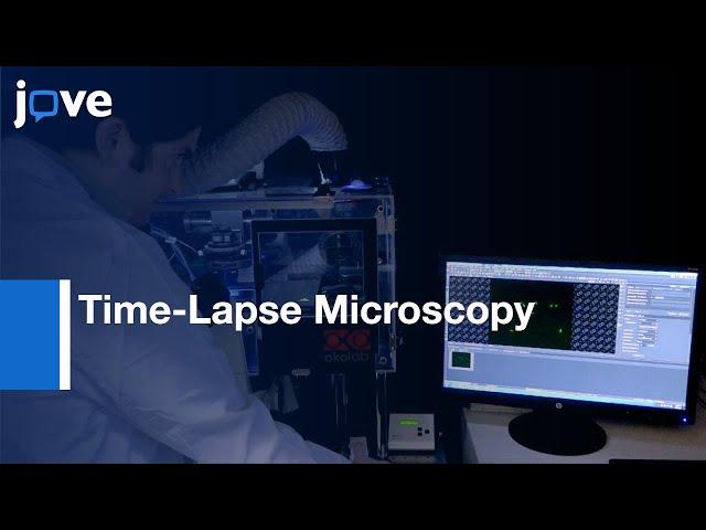 Continuous Measurement Of Biological Noise In Escherichia Coli l Protocol Preview