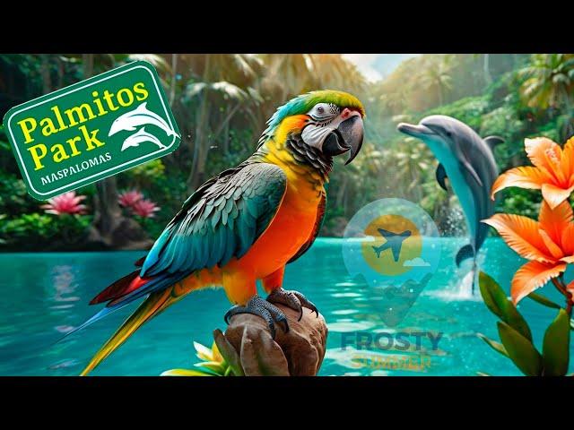 Palmitos Park Maspalomas 4K #zoo #walkingtour4k #grancanaria #dolphins #animalshow #canarias2024