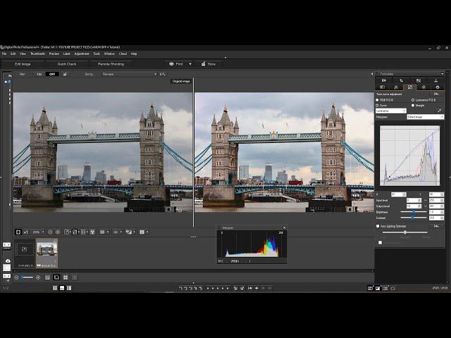 CANON DPP 4 Review and Tutorial 2021. It is The Best Canon Raw Editor. But.....!