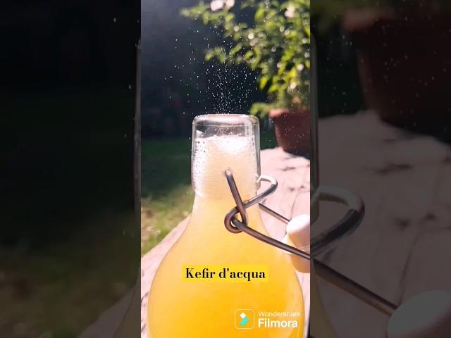 kefir d'acqua frizzante!