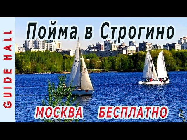 БОЛЬШОЙ СТРОГИНСКИЙ ЗАТОН (Строгинская пойма) - лучшие бесплатные пляжи в Москве, где можно купаться