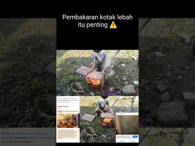 Pembakaran kotak lebah itu penting ️#zovdenganhobbynya #Lebah#varroa#tungau