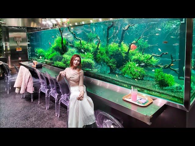 Aqua garden | cafe in South Korea | Nature aquarium