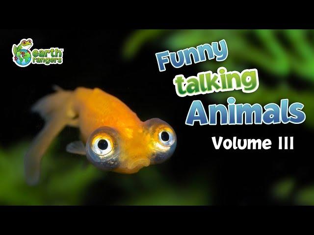 Funny Talking Animals: the Call of the Wild - Vol.3