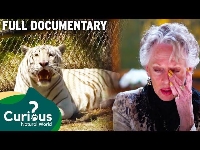 The Reality Of Keeping Pet Tigers & Bears | Full Documentary | Predator Pets