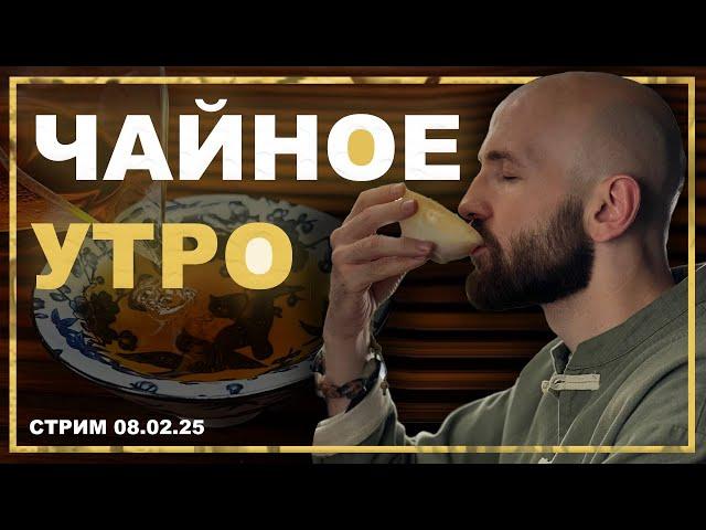 Какой чай лучше пить утром?|Пьем китайский чай|Отвечаем на вопросы