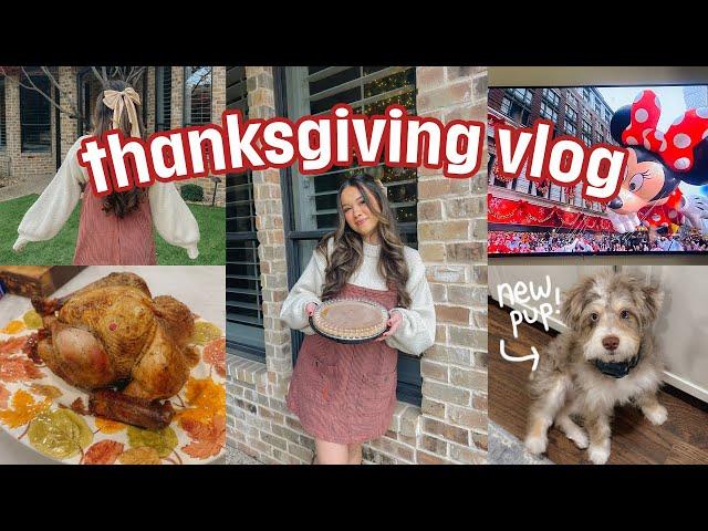 a cozy *but realistic* thanksgiving week vlog ️ meet my new puppy, black friday haul, & deep talks