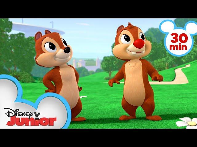 Chip 'N Dale's Nutty Tales 30 Minute Compilation | Mickey Mouse, Minnie Mouse & MORE | @disneyjr