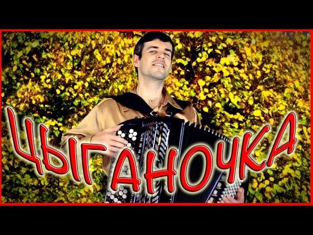 ВОТ ЭТО ВИРТУОЗ!!! Пальцы просто летают! (Цыганочкас выходом на баяне) Gypsy Dance