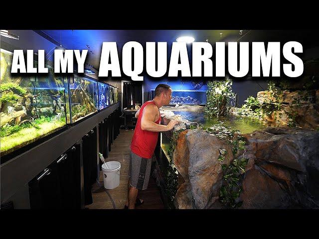 ALL MY AQUARIUMS - The king of DIY fish tanks tour