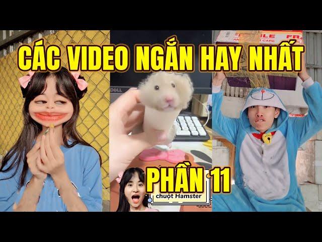 TRẦN VY VY | CÁC VIDEO NGẮN HAY NHẤT PHẦN 11