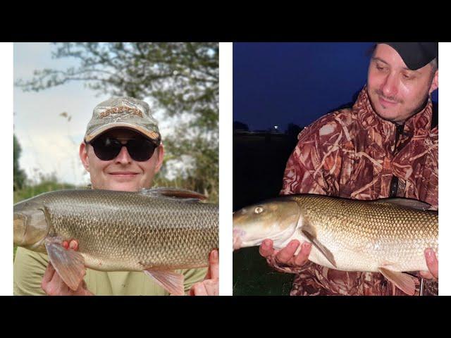 River Ribble Barbel A First Time for Gold