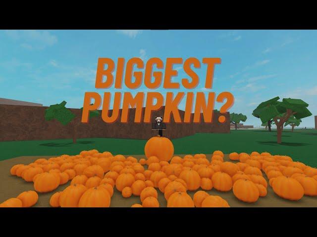 How big of a pumpkin can I get in Lumber Tycoon 2?