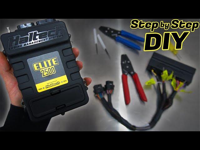 Haltech Elite Ultimate DIY Install Guide