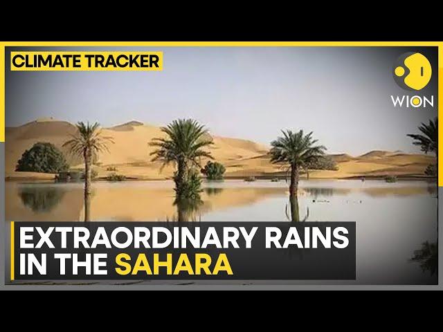 Green Deserts: A Big Tourist Draw | WION Climate Tracker