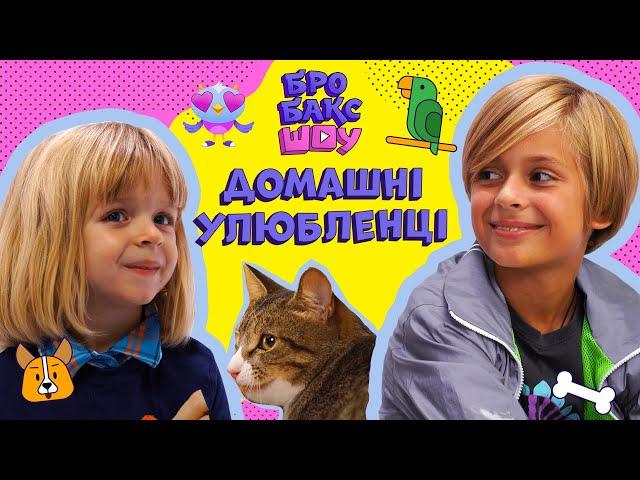  У НАС З’ЯВИВСЯ КОТИК! | ДОМАШНІ ТВРИНИ | ЛЕО ТА ЕЛВІН | БРОБАКС ШОУ