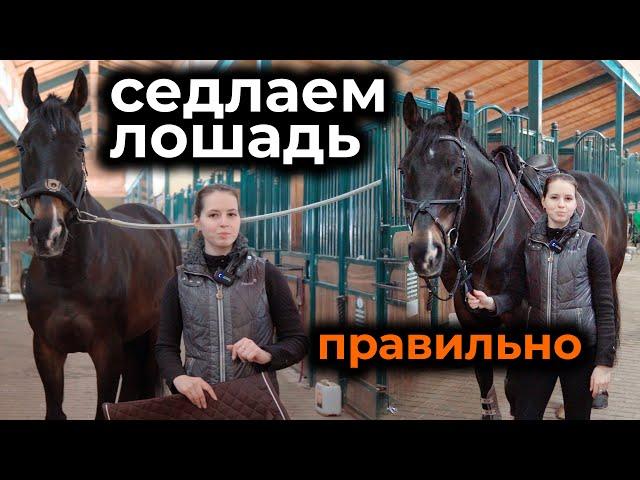 Как правильно седлать лошадь / Основы седловки / Снаряжение для конкура