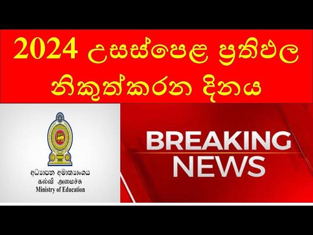 2024 A/L Results Release Date in Sri Lanka | Latest Updates & What to Expect