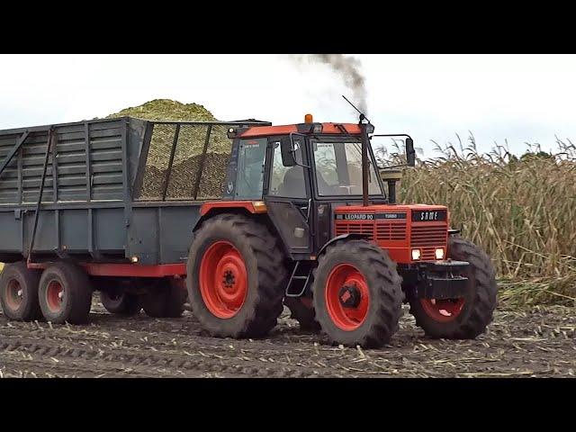 Mais Silage | Claas Jaguar 695 + Same Leopard 90 Turbo | 2017